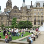 Where can i buy Magic Mushrooms in Sheffield