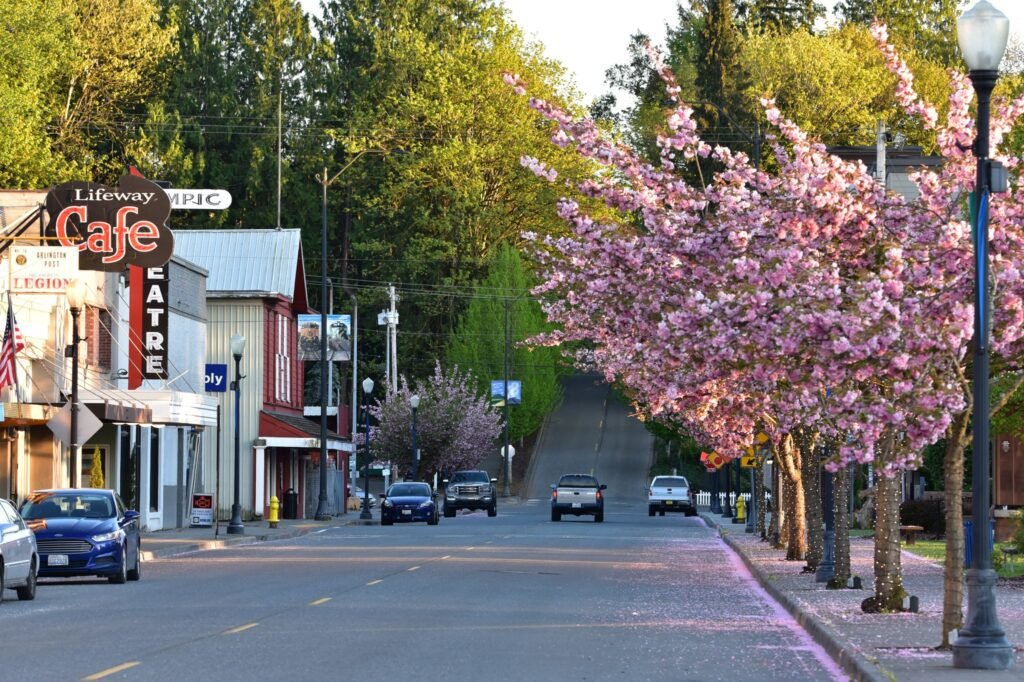 Where to buy Magic Mushrooms in Arlington