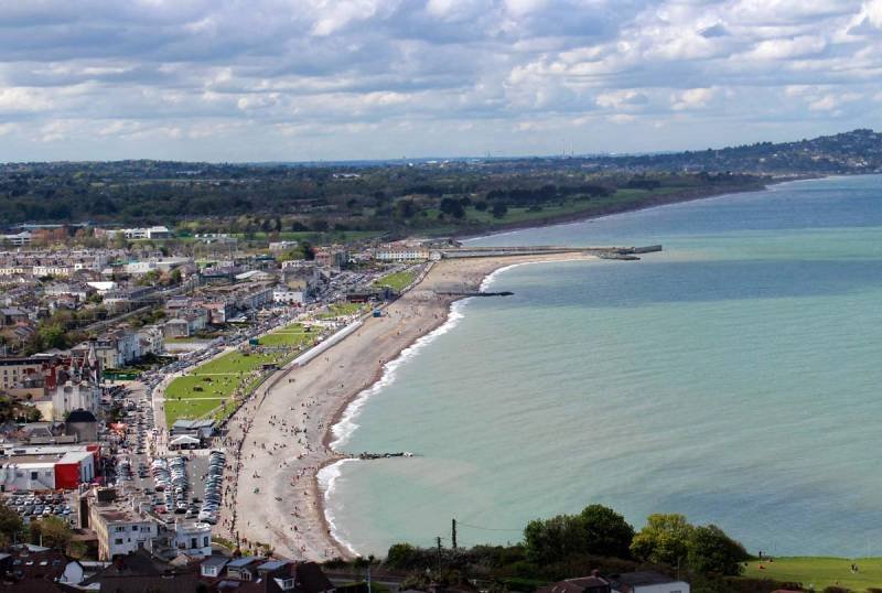 Where can i buy Magic Mushrooms in Bray