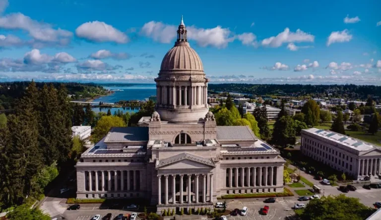 where to buy Magic Mushrooms in Washington