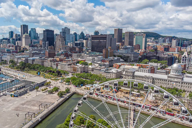 Where to buy Magic Mushrooms in Montreal