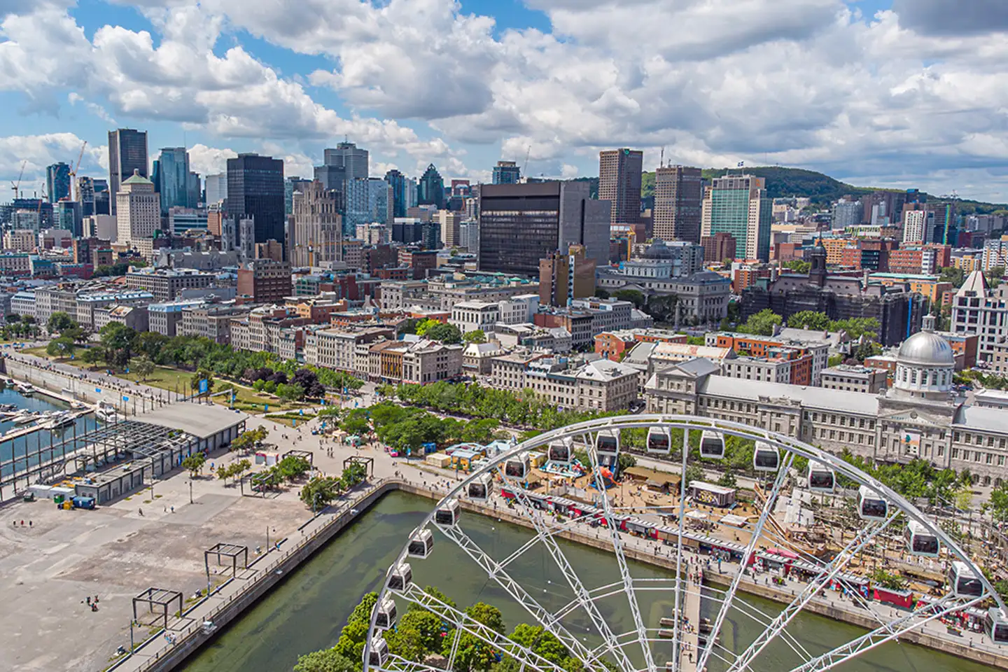 Where to buy Magic Mushrooms in Montreal